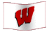 UW Madison Flag